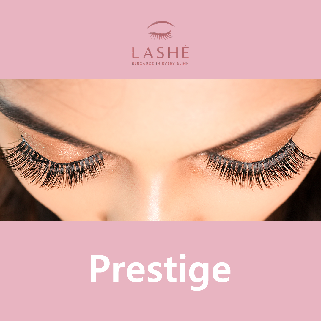 LASHE Prestige – Corporate & Influencers